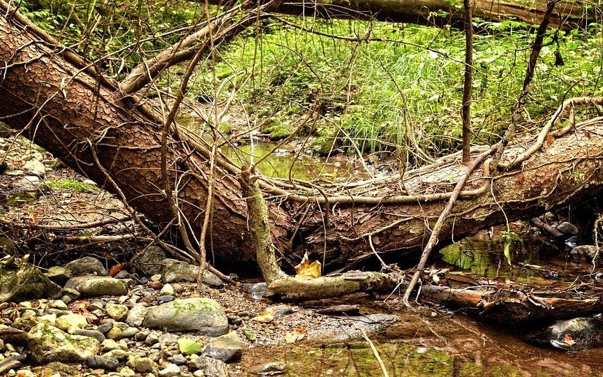 POWIAT. Ponad 30 interwencji strażaków