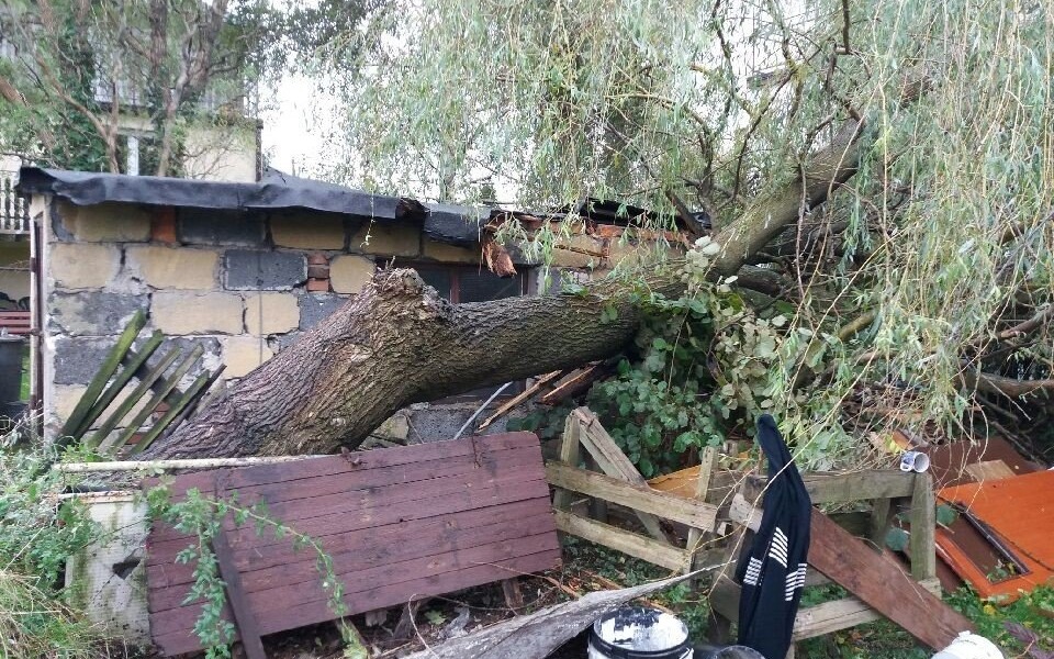 POWIAT. Brak prądu i powalone drzewa przez silny wiatr