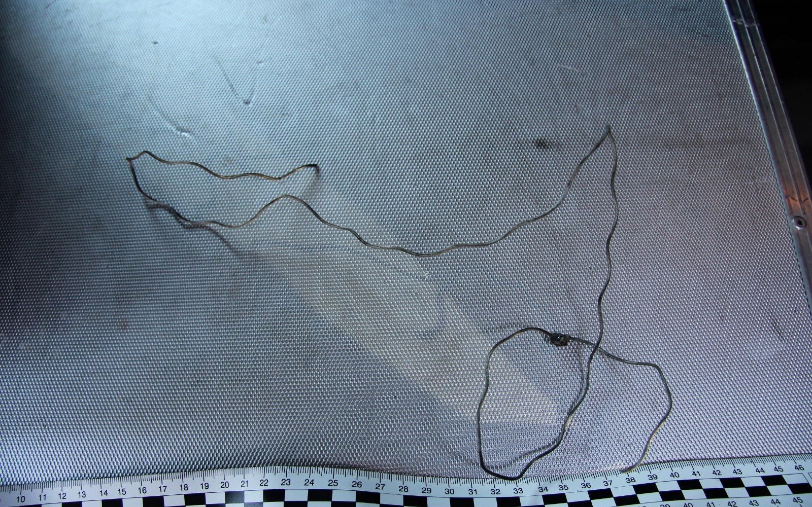 GMINA PRZECISZÓW. Poszukiwany kłusownik