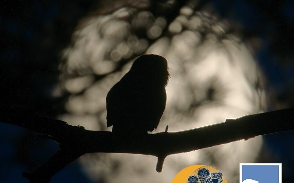 OŚWIĘCIM. Noc Sów w SP 2