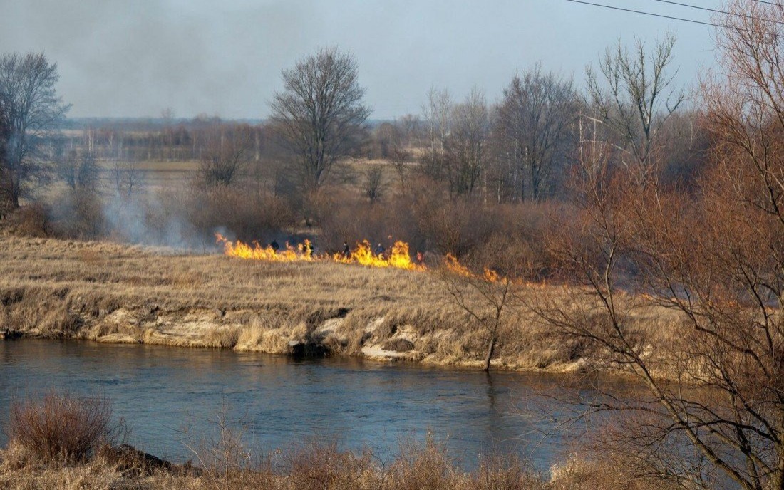 POWIAT. Stop wypalaniu traw 2018
