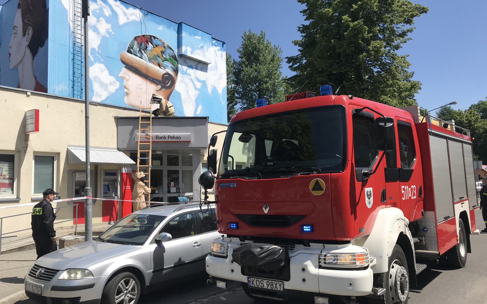 POWIAT. Usuwanie gniazd os i szerszeni – nie rób tego samodzielnie