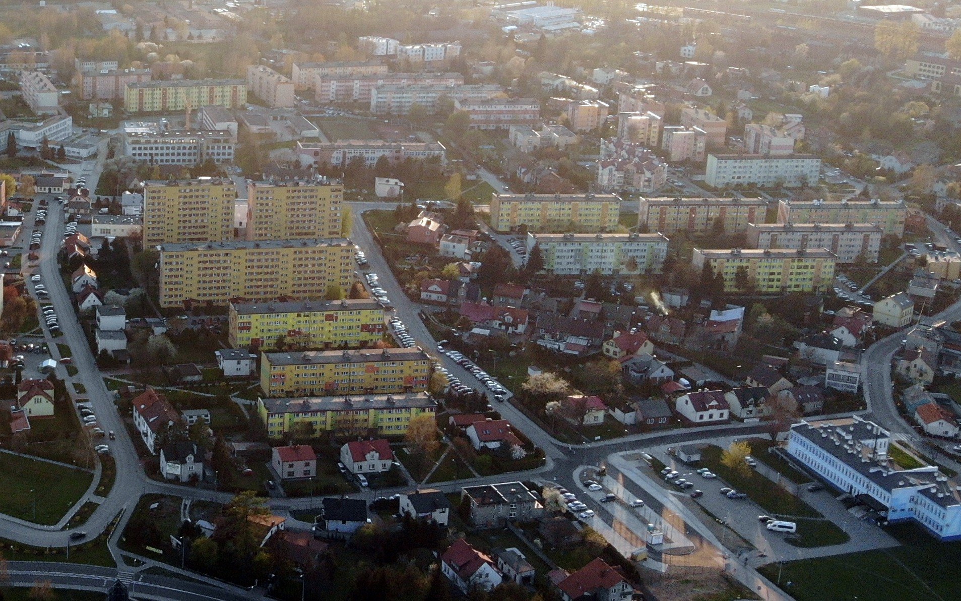 OSIEK. Leśna plantacja marihuany