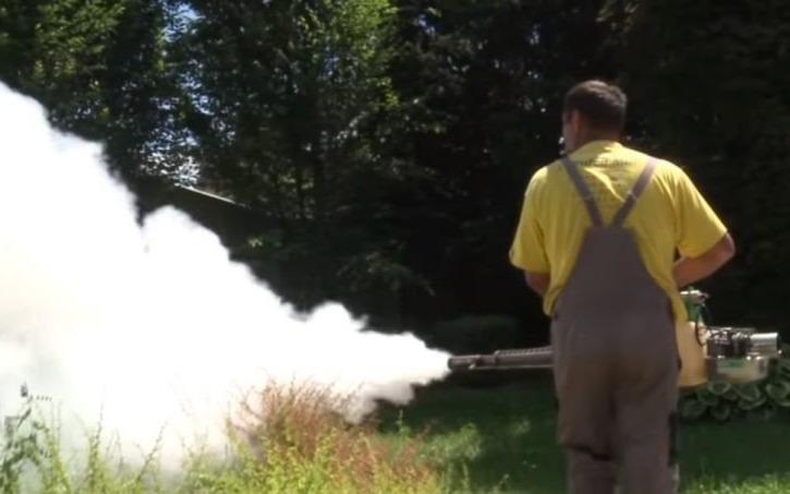 OŚWIĘCIM. W mieście trwa walka z komarami