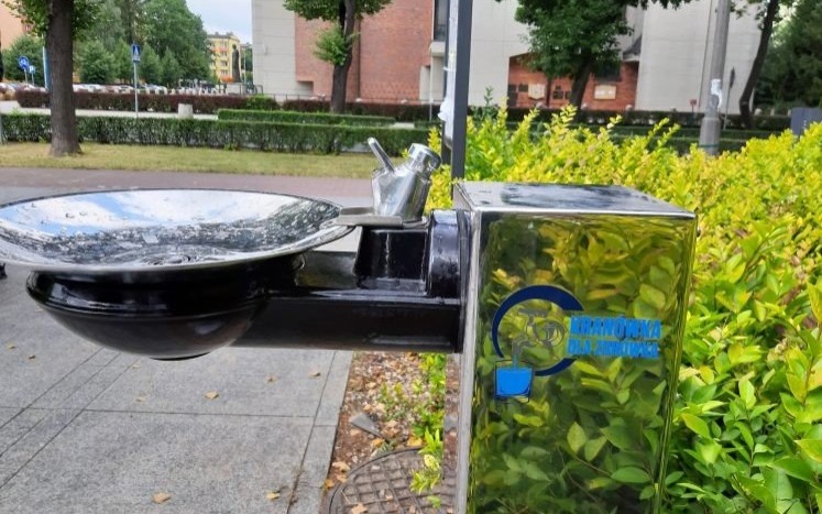 OŚWIĘCIM. Darmowe źródełka wody w mieście