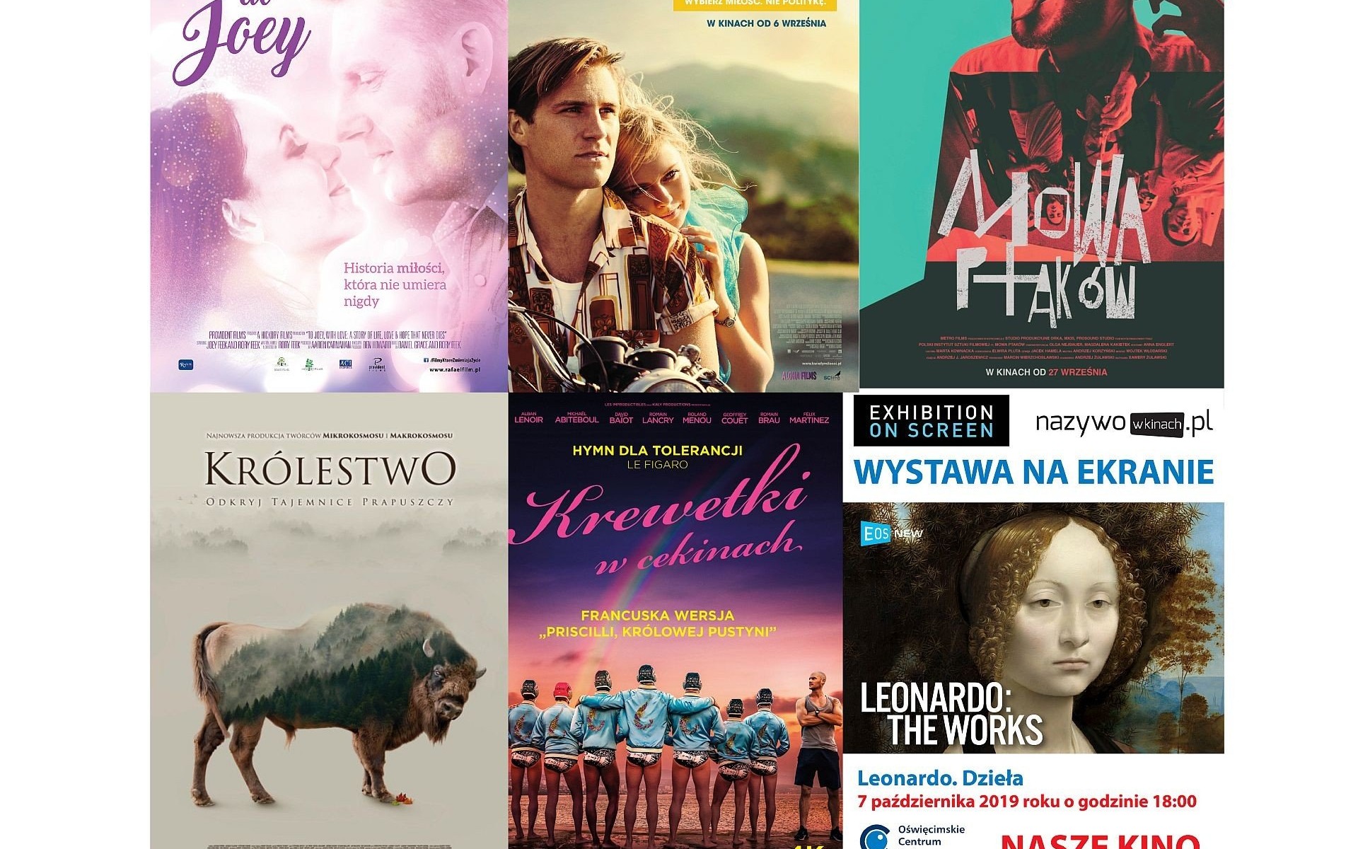 OŚWIĘCIM. Repertuar Naszego Kina w OCK