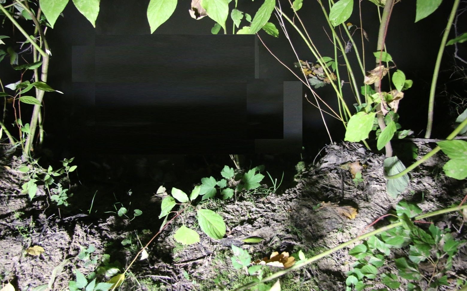 MALEC. W potoku ujawniono zwłoki mężczyzny