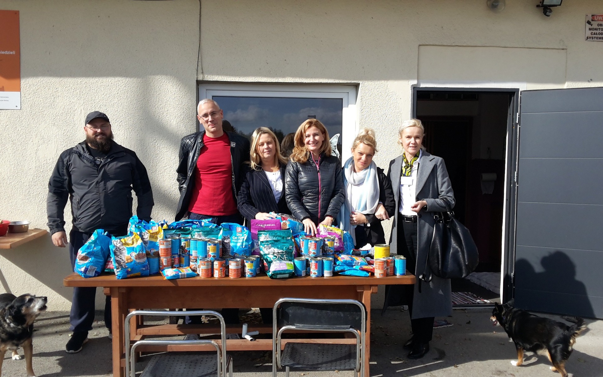 OŚWIĘCIM. Pracownicy ZUS kupili karmę dla kotów