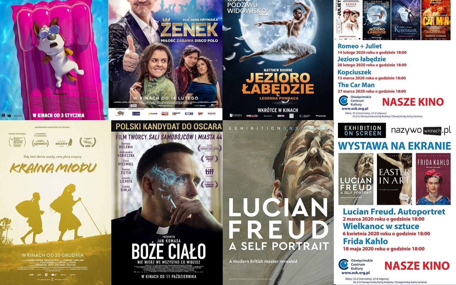 OŚWIĘCIM. Repertuar Naszego Kina w miesiącu luty-marzec 2020