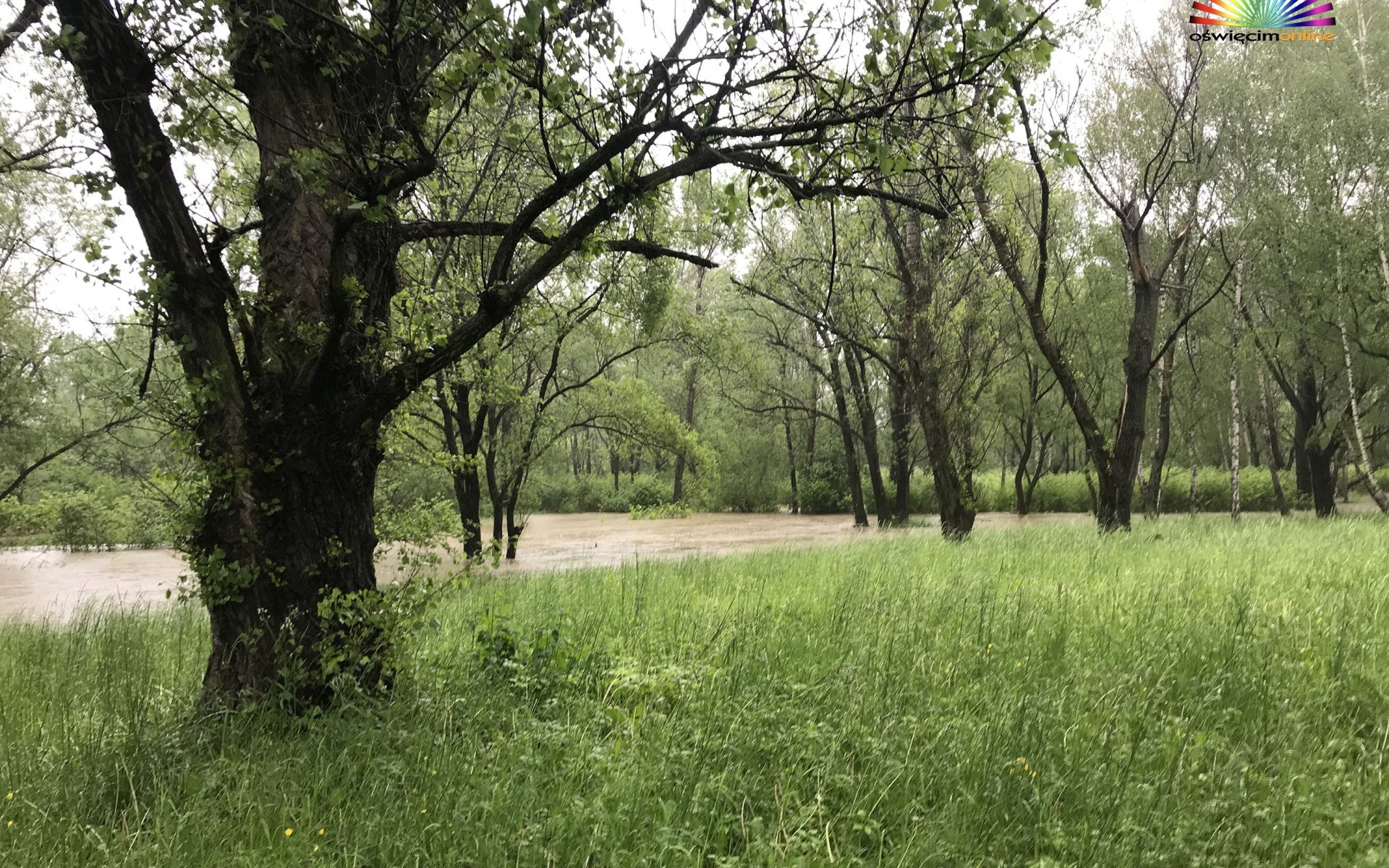 PUBLICYSTYKA. Groby jeńców niemieckich nad Sołą