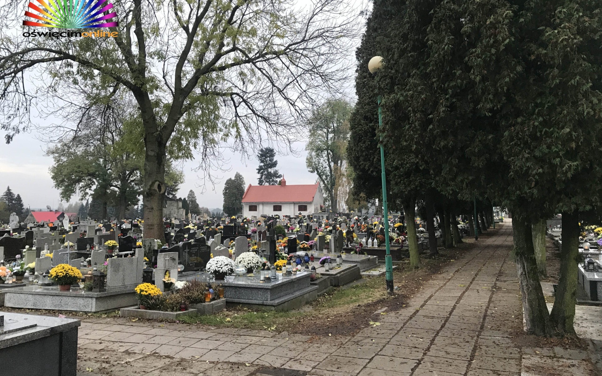 OŚWIĘCIM. Puste cmentarze w dniu Wszystkich Świętych [ZDJĘCIA]