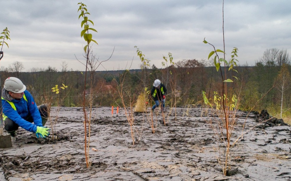 POWIAT. Hałdy będą rekultywowane i zielone