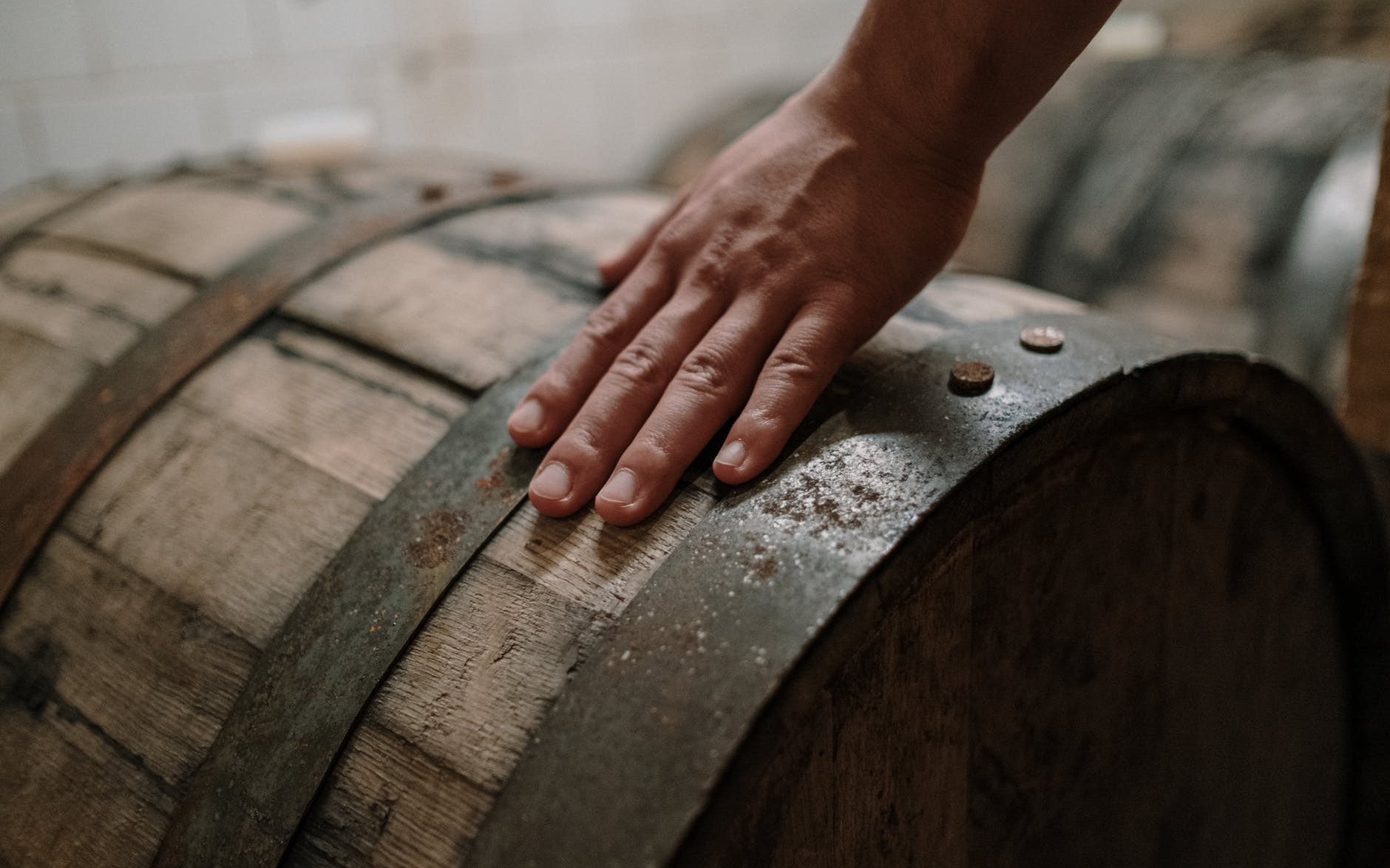 Drożdże piwowarskie – co trzeba o nich wiedzieć, gdy warzymy piwo?