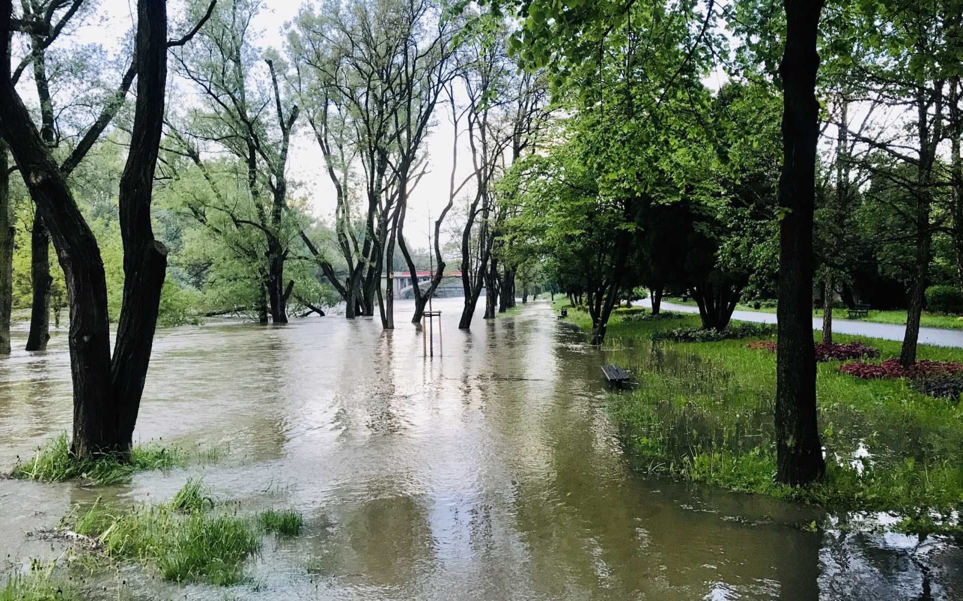 OŚWIĘCIM. Woda w rzece Sole powoli opada