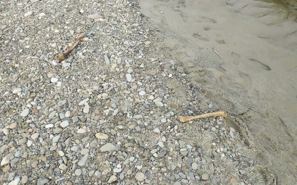 OŚWIĘCIM. To kości jeńców niemieckich zmarłych w obozie NKWD