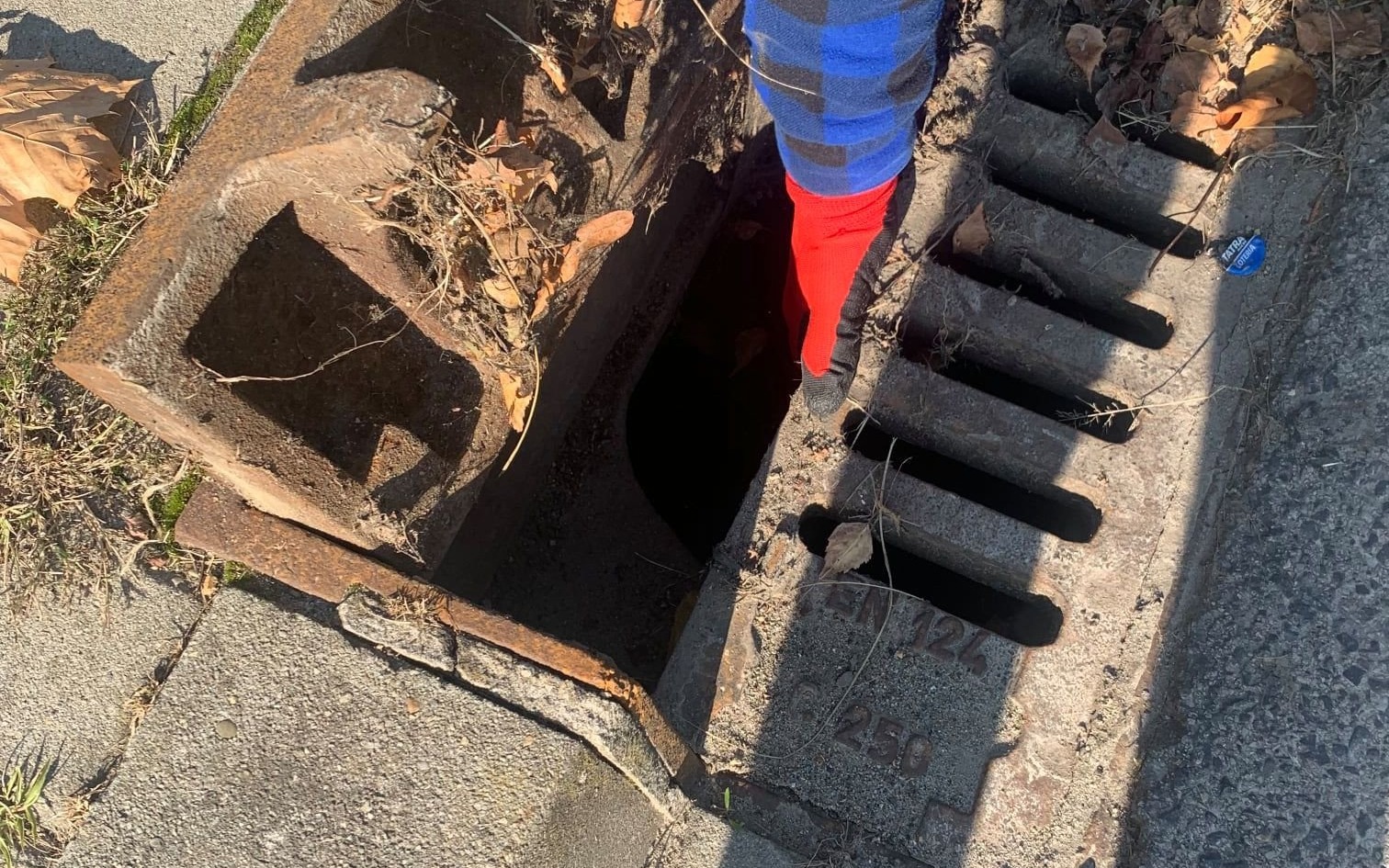 OŚWIĘCIM. Mały kot wpadł wprost do kanału burzowego