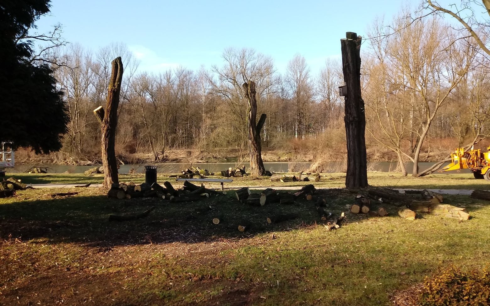 OŚWIĘCIM. W trosce o bezpieczeństwo mieszkańców, wycinają drzewa na bulwarach