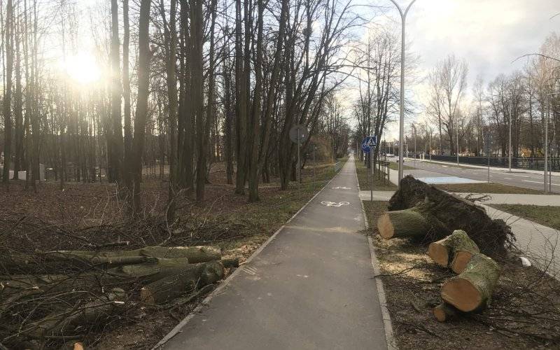 OŚWIĘCIM. Silny wiatr przewracał nie tylko drzewa