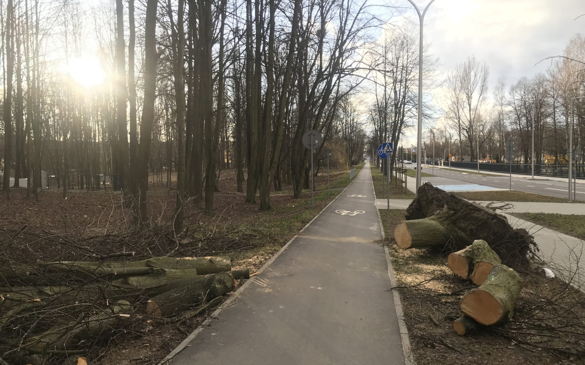 OŚWIĘCIM. Silny wiatr przewracał nie tylko drzewa