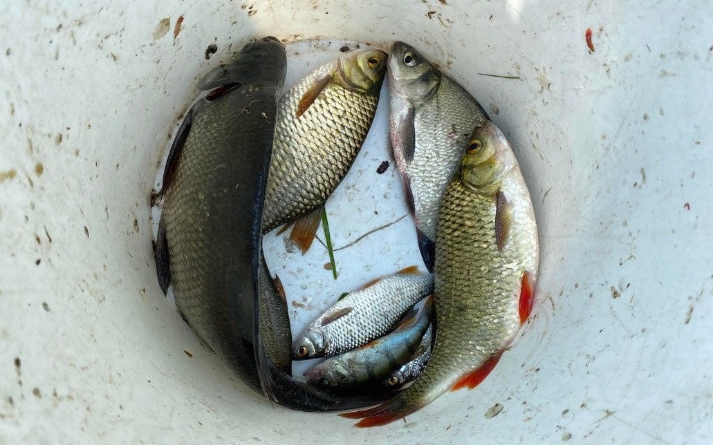 POWIAT. Zawody wędkarskie o Puchar Burmistrza Gminy Kęty