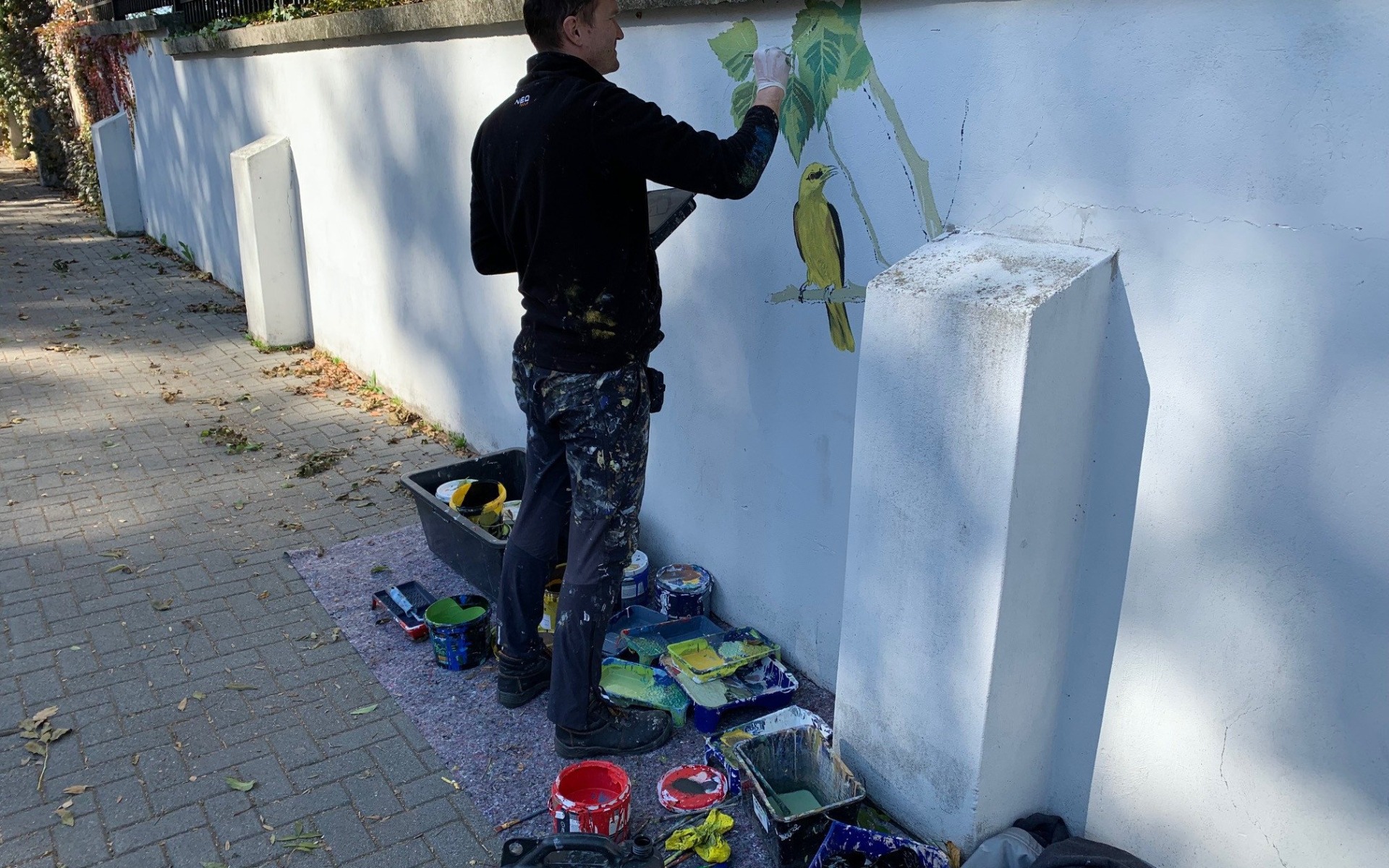 OŚWIĘCIM. Ptasie murale na murach cmentarza żydowskiego