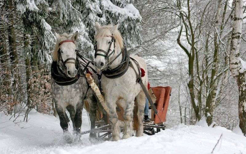 Kuligi Zakopane – najlepsze oferty