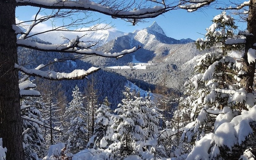 Kuligi Zakopane, tradycyjne sanie, regionalna kuchnia – szybko znikają kolejne terminy
