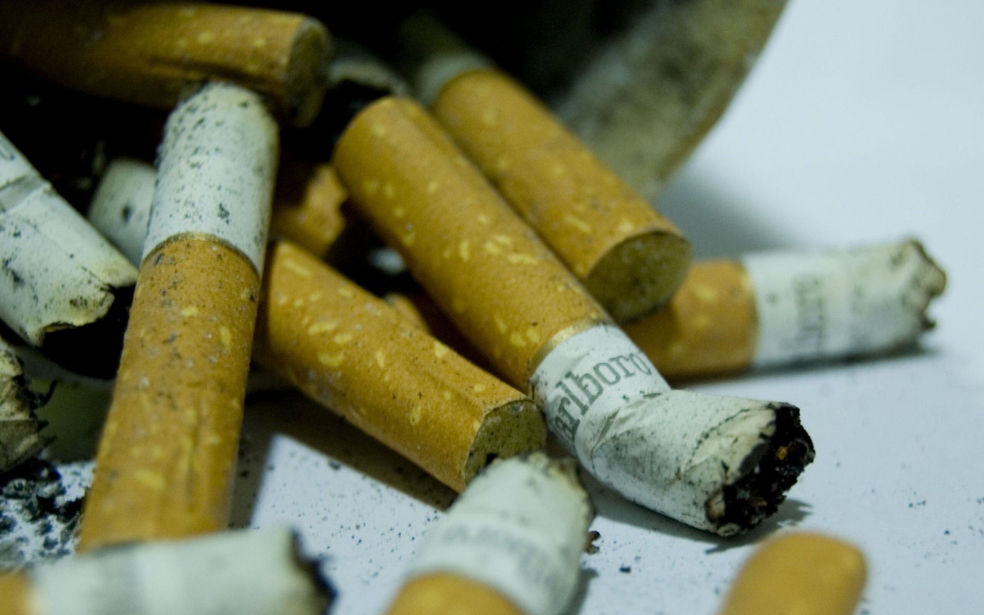 BRZESZCZE. Kobieta handlowała nielegalnym tytoniem