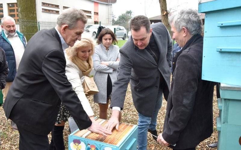 HARMĘŻE. Pszczoły zmarłego starosty wylądowały w ekologicznej pasiece
