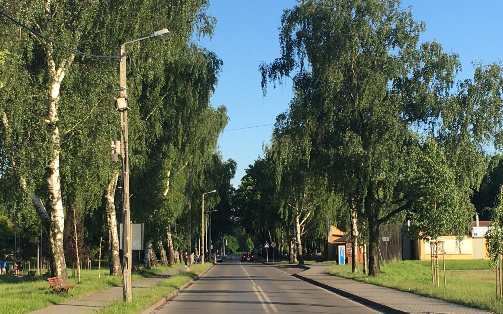 PUBLICYSTYKA. Uporządkujmy oznakowanie dróg dotyczące tonażu