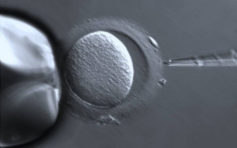 OŚWIĘCIM. Rusza program leczenia niepłodności dla par w powiecie oświęcimskim