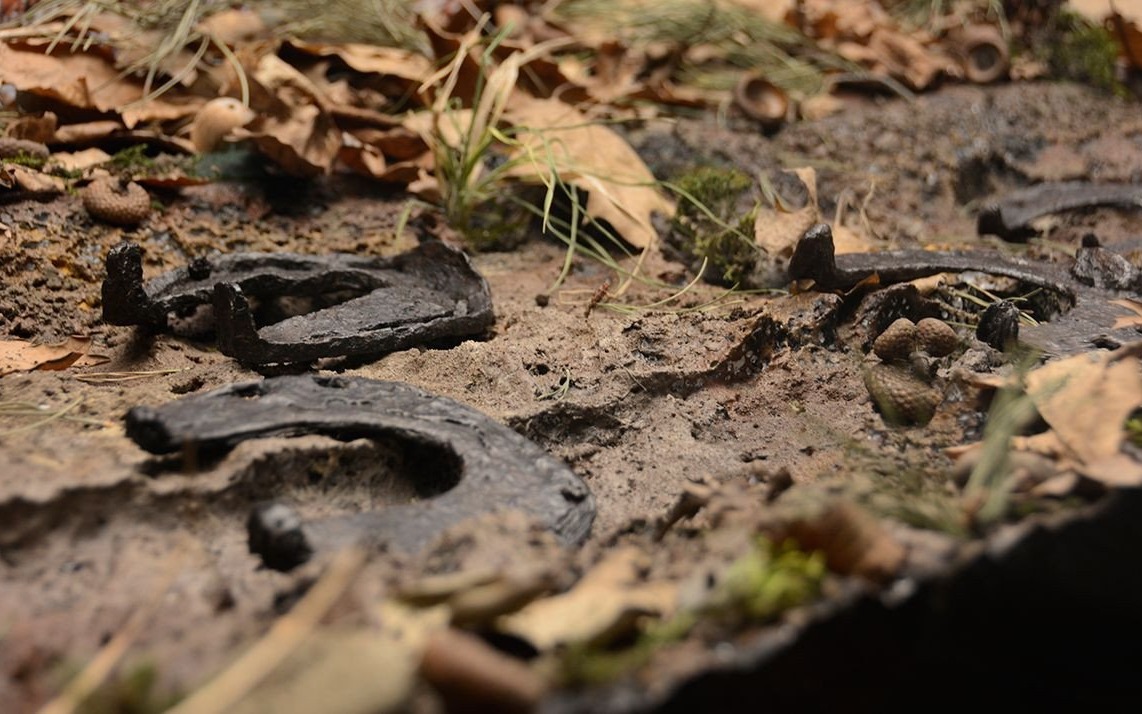 POWIAT. Tajemnice Kęt: od skarbów paleolitu po średniowieczną warownię w Malcu