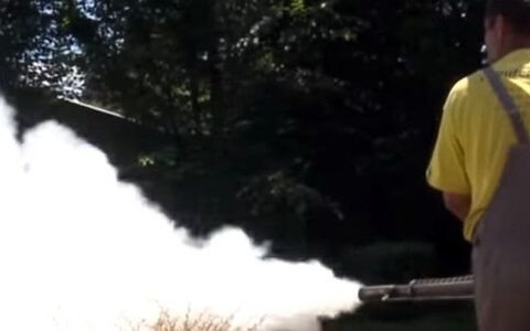 Odkomarzanie w Oświęcimiu: skuteczna walka z komarami