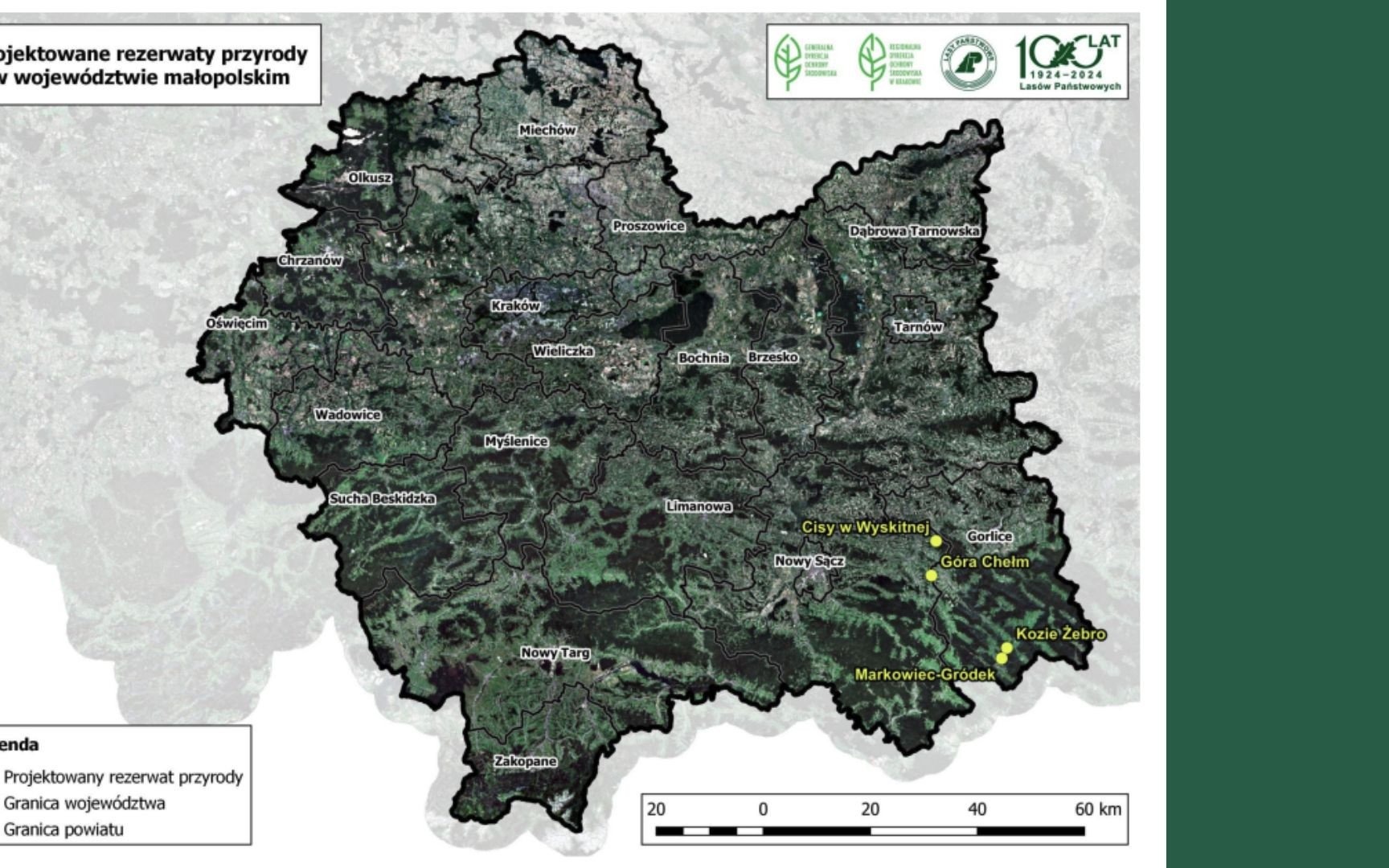 Nowe rezerwaty przyrody w Małopolsce: Cisy w Wyskitnej, Góra Chełm, Kozie Żebro i Markowiec-Gródek