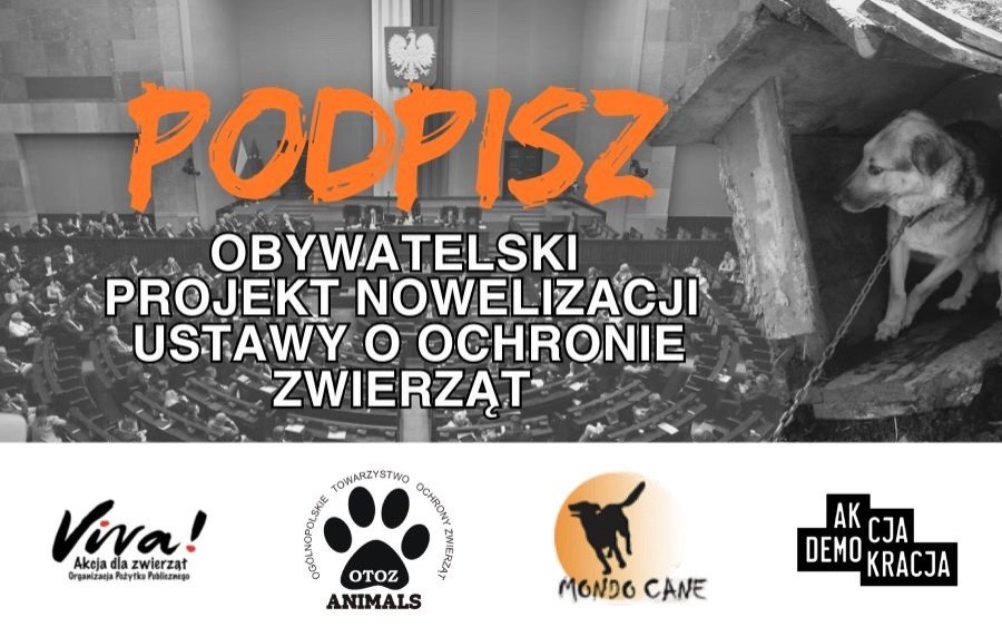 Rewolucyjne zmiany w ochronie zwierząt! Oświęcim zbiera podpisy – pomóż wprowadzić nowe prawa!