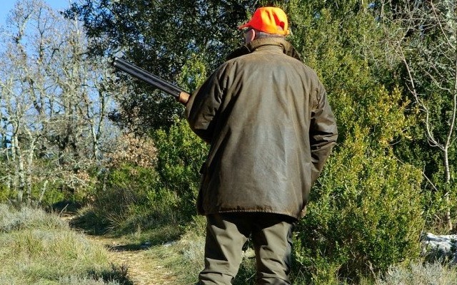 Burmistrz Chełmka ogłasza plan polowań. Sprawdź, kiedy lasy będą niebezpieczne!