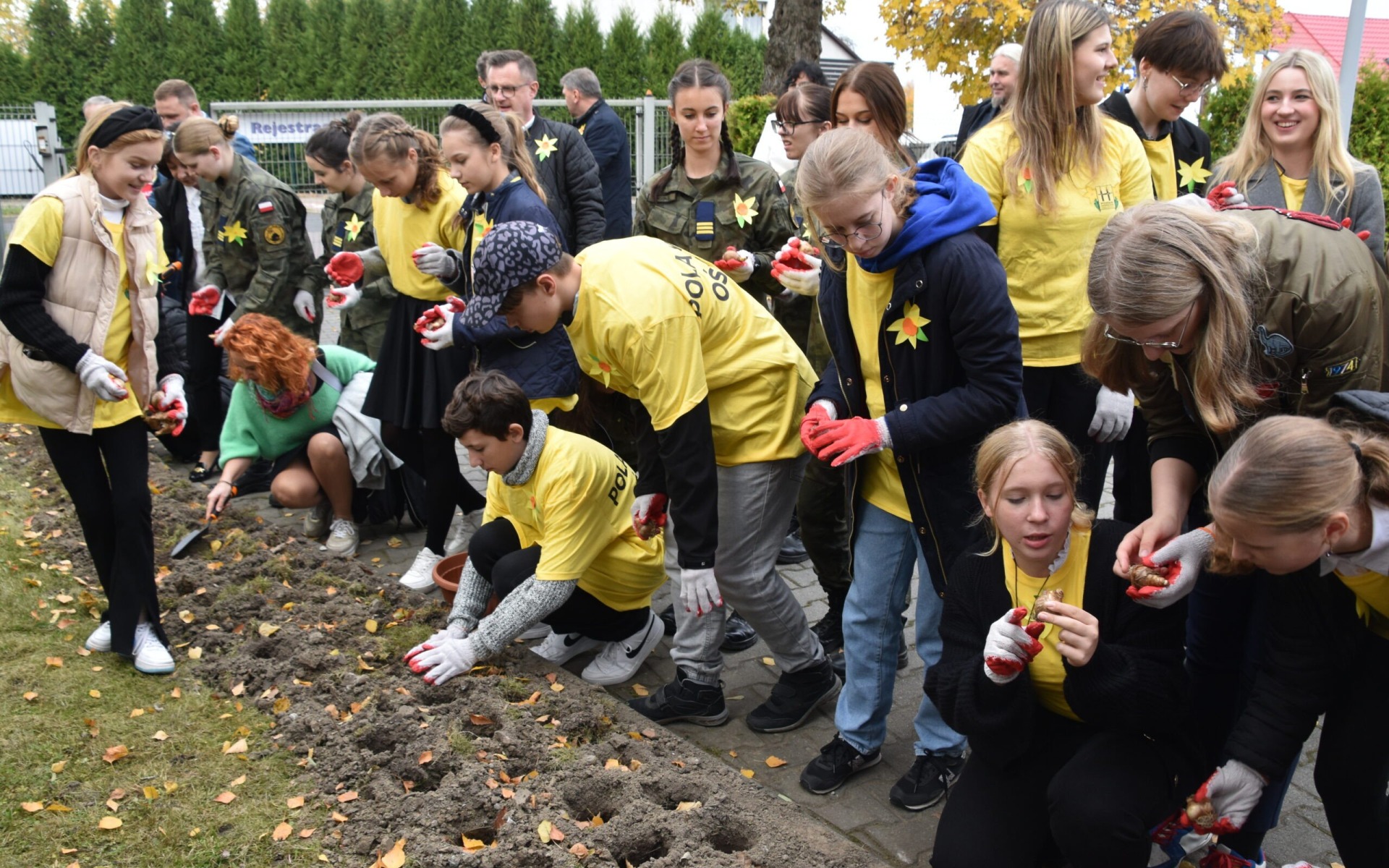 Żonkile dla Hospicjum w Oświęcimiu! Zobacz, jak samorządowcy i szkoły wspierają kampanię „Pola Nadziei”!