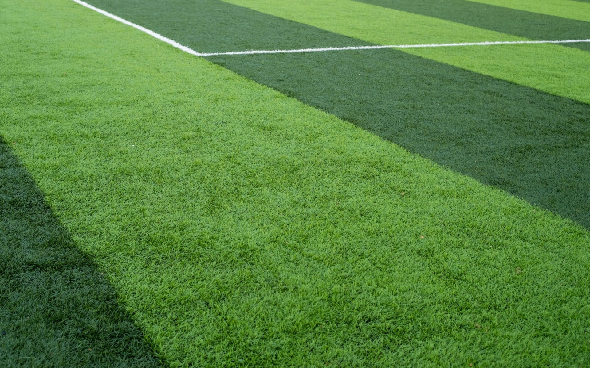 Najlepszy strzelec w Lidze Mistrzów? Kto otrzyma Złotą Piłkę?