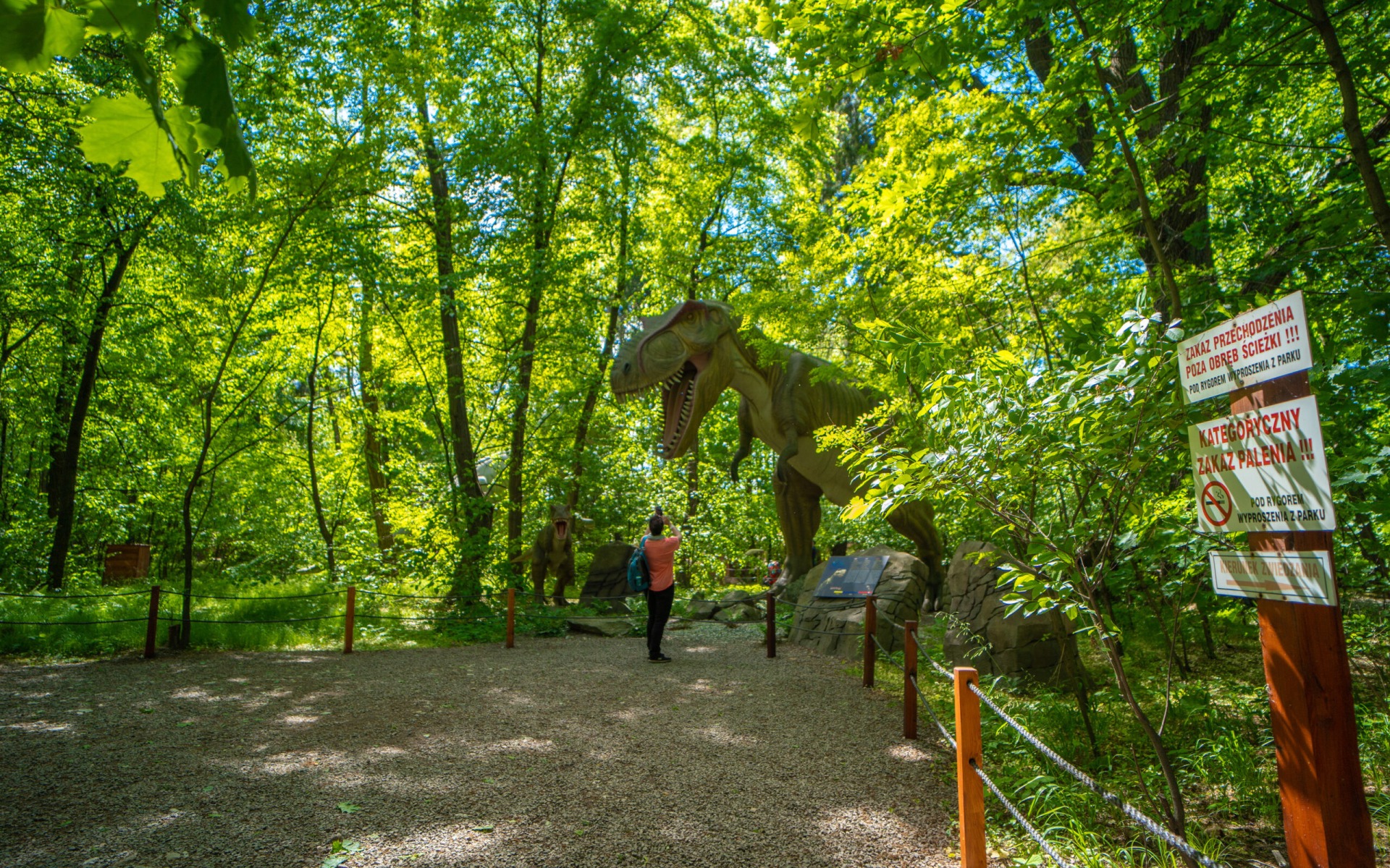 Majówka w Zatorlandzie z wieczornymi atrakcjami. Czas na „Dinozaury po zmroku”