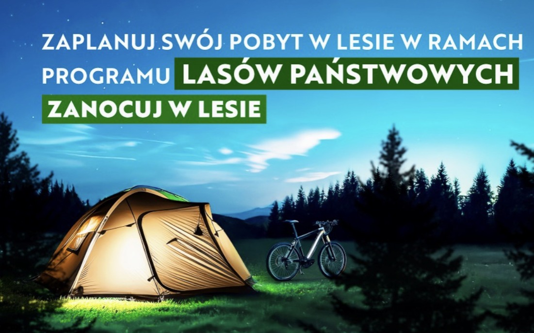 Jak legalnie zanocować w lesie? Przewodnik dla rowerzystów i miłośników natury