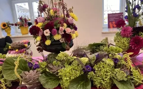 Wystawia dalii w Rynku 13