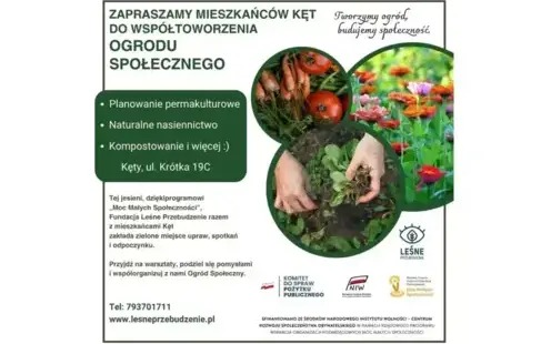 Ogrody społeczne — siła natury i wspólnoty