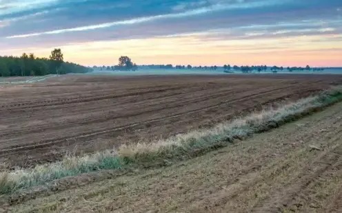 Zasady udzielania pomocy producentom rolnym, w których gospodarstwach wystąpiły szkody w uprawach: Informacja Wojewody Małopolskiego