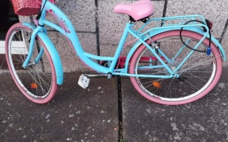 Poszukiwany właściciel jednośladu