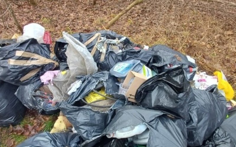 Urządził sobie prywatne śmietnisko - Straż Miejska złapała sprawcę