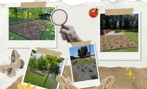 7 zrekultywowanych terenów trafia w ręce mieszkańców