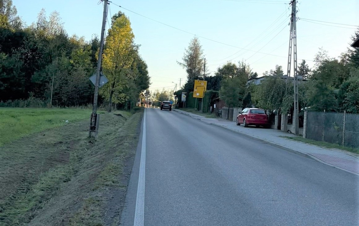 Zderzenie drogowe z udziałem sarny na Podlesiu