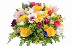 Podziękowanie za organizację Balu Karnawałowego