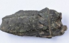 Eksponat miesiąca - fragment hakownicy