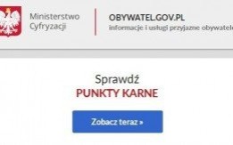 Punkty karne do sprawdzenia w Internecie. Uważajmy jednak na fałszywe strony!